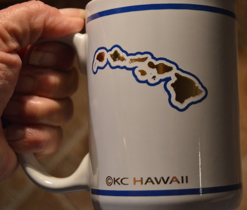 US AIR FORCE HAWAII MUG~BLUE INTERIOR~4 1/2" TALL~EUC