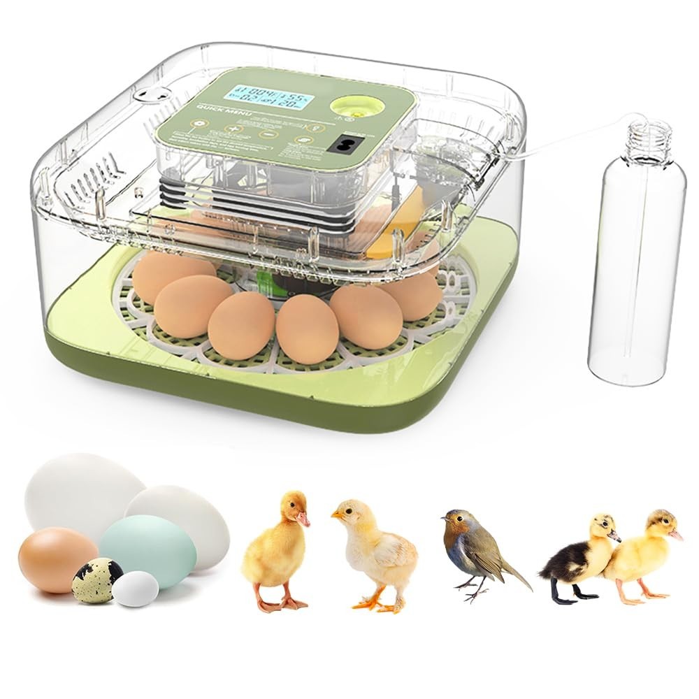 12 Eggs Capacity, Egg Incubator with Automatic Egg Turning and Humidity Control