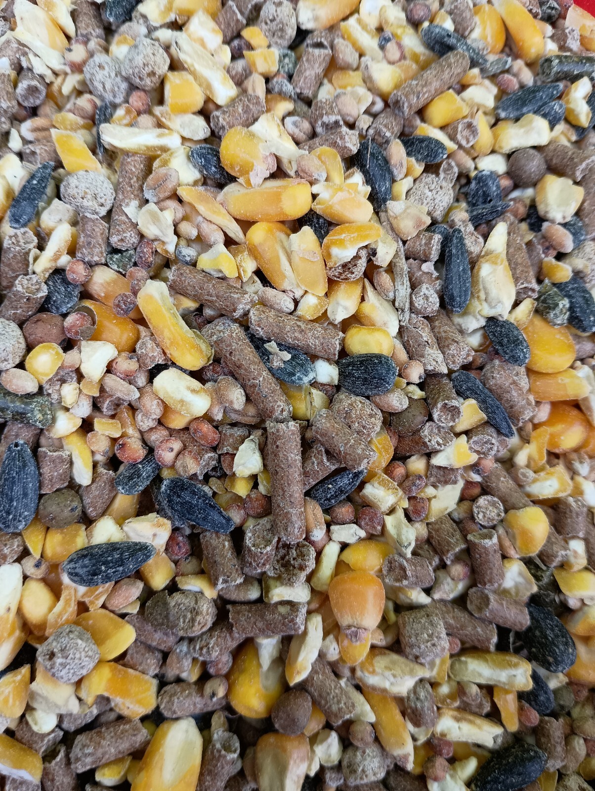 Chicken Scratch Feed Duck Turkey Quail Pheasant Wheat Milo Corn Sunflower Peas