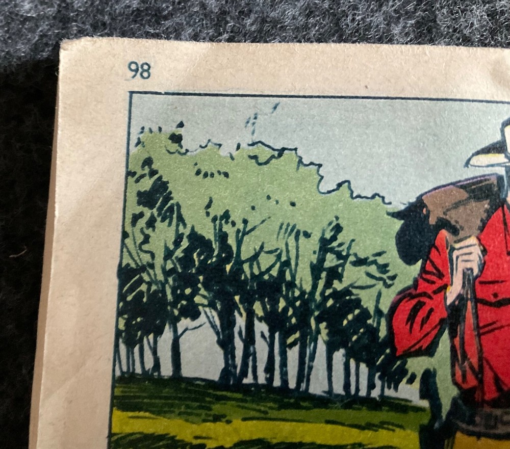 IL MONELLO