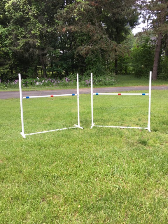 Dog Agility Equipment | Premium Single Bar Jumps | 2 Jumps total! ⭐⭐⭐⭐⭐