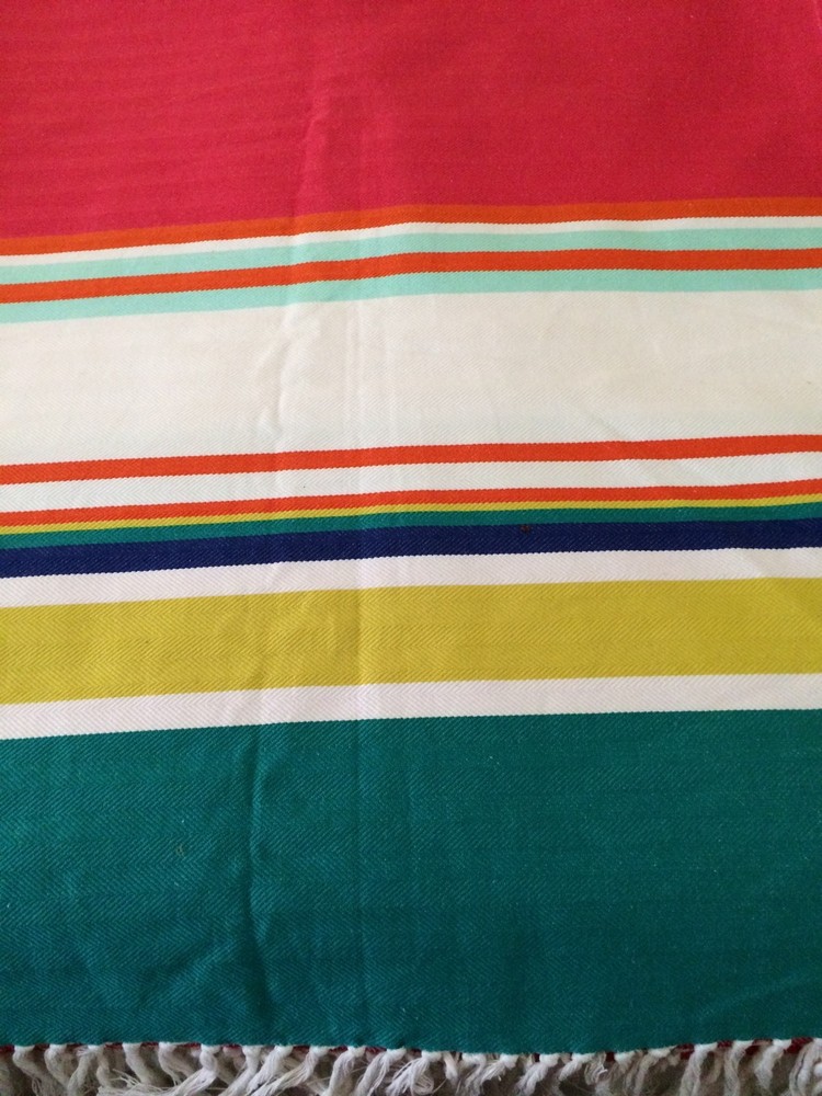 Target Picnic Throw Blanket Multi Stripe Fringed NWOT