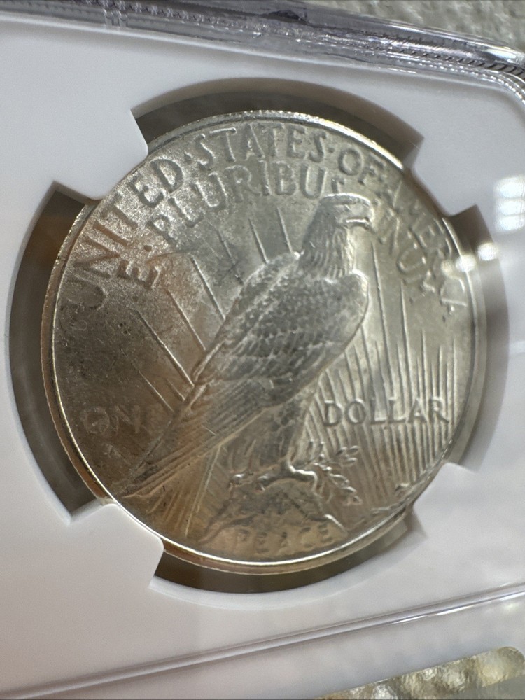 1925 Silver Peace Dollar Brilliant Uncirculated NGC Certified