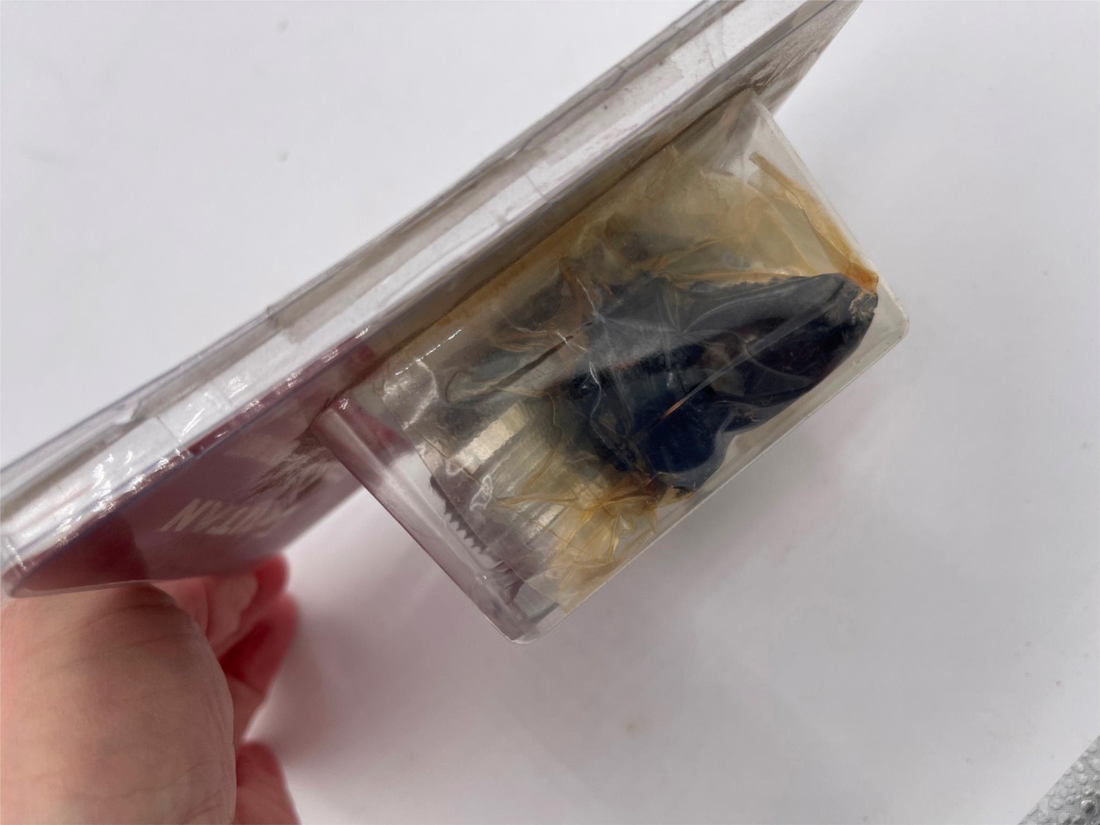 Open Box, Titan 0532911 Kit, Repacking, Pist