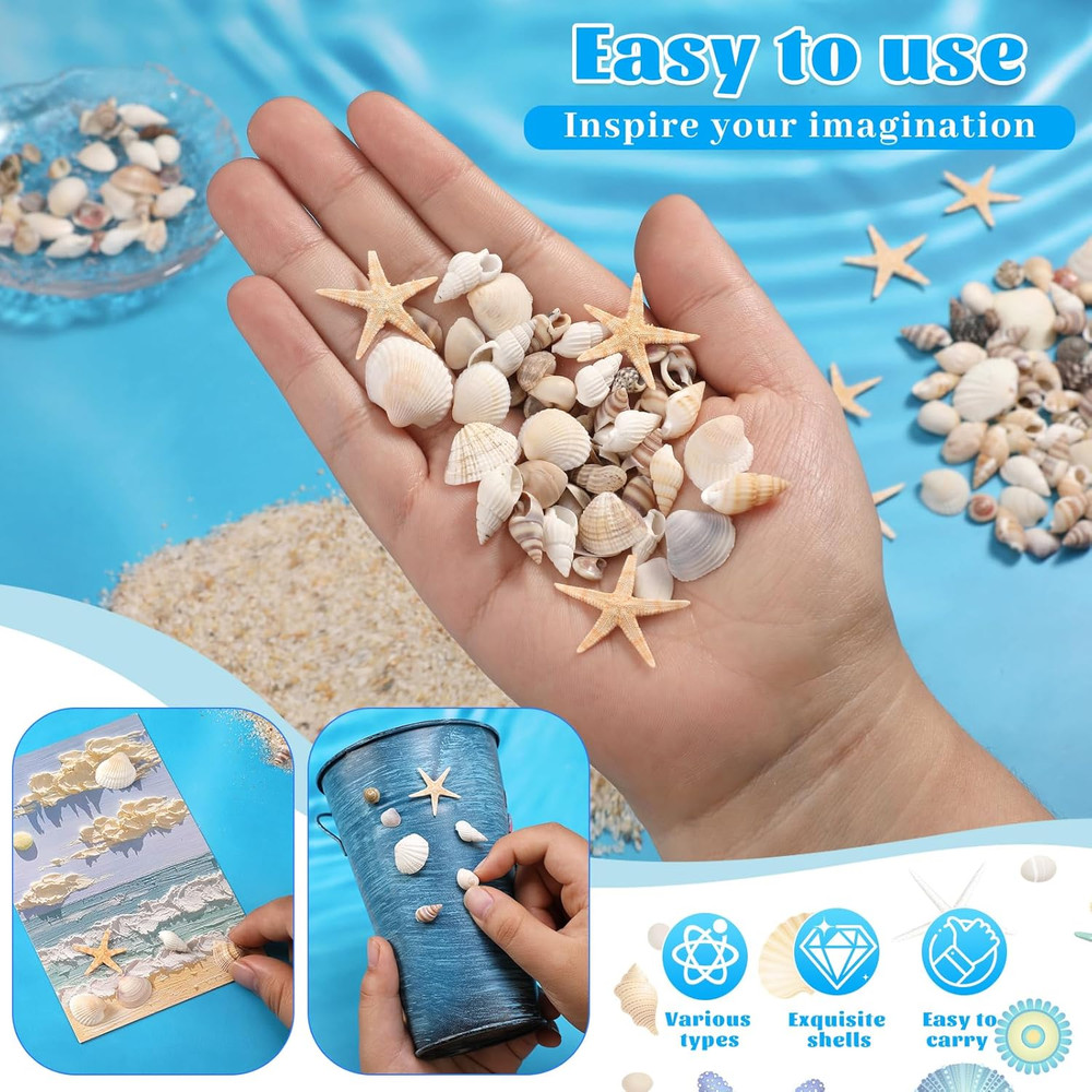 1200 Pcs Tiny Sea Shells, Seashells for Crafts with Small Shells Starfish Mixed
