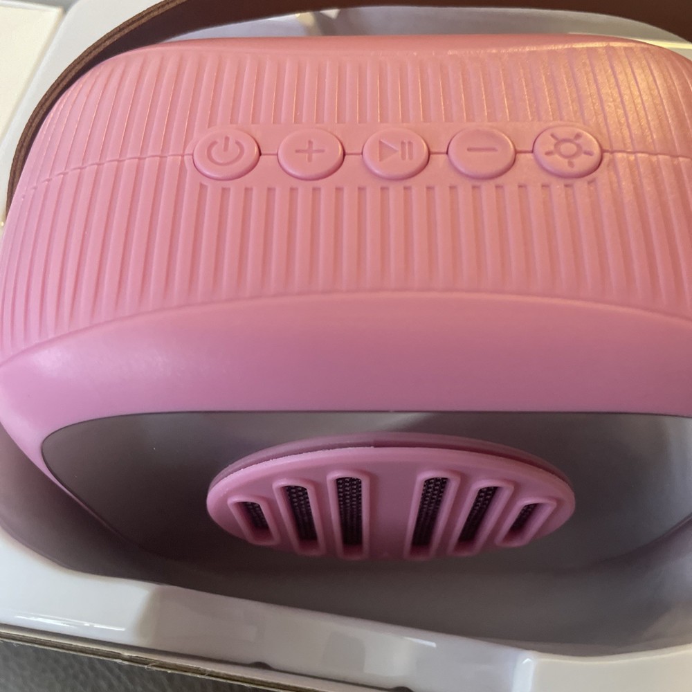 Mini Karaoke Machine with 2 Wireless Microphones & Portable Bluetooth Speaker