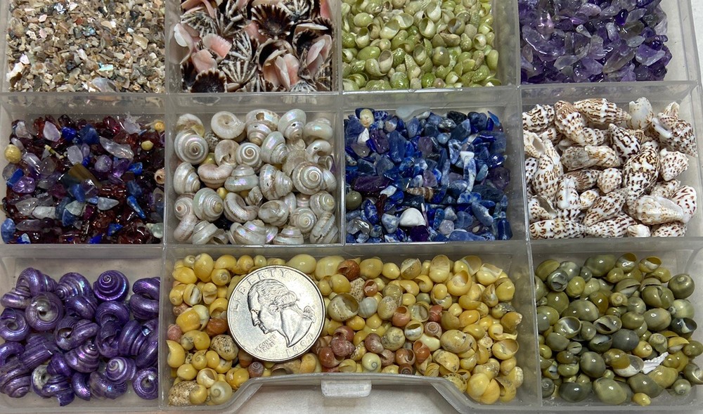 11-pack Small Sea Shell and Decorative Sand Bundle / Snails / Bottle Decor