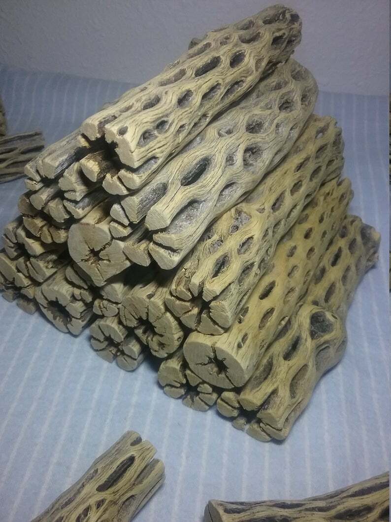 10 LARGE 6" inch CHOLLA Wood | CLEANED! | AQUARIUM | Air Plant, Crafts | Cactus