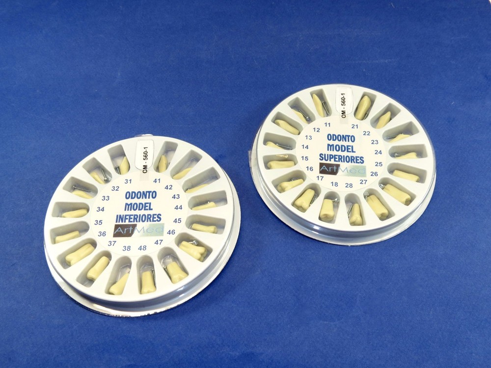 Typodont Ivorine Replacement Teeth Kit Model 560 Lower + Upper Set Screw 11-48