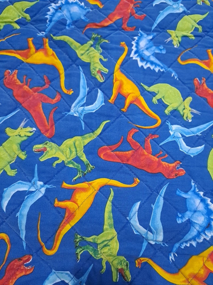Kids Dinosaur Pattern Nap Mat