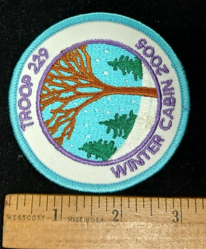 Patch Troop C 229th Winter Cabin 2005 NEW