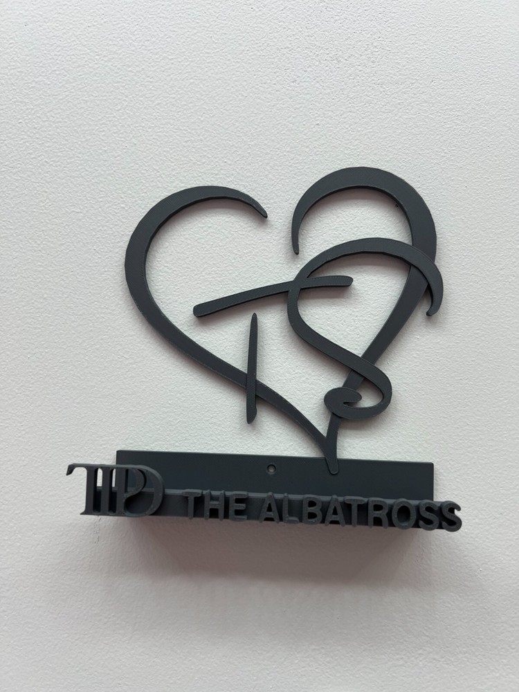 T Swift Inspired CD Wall Mount - "The Albatross" double disk TTPD