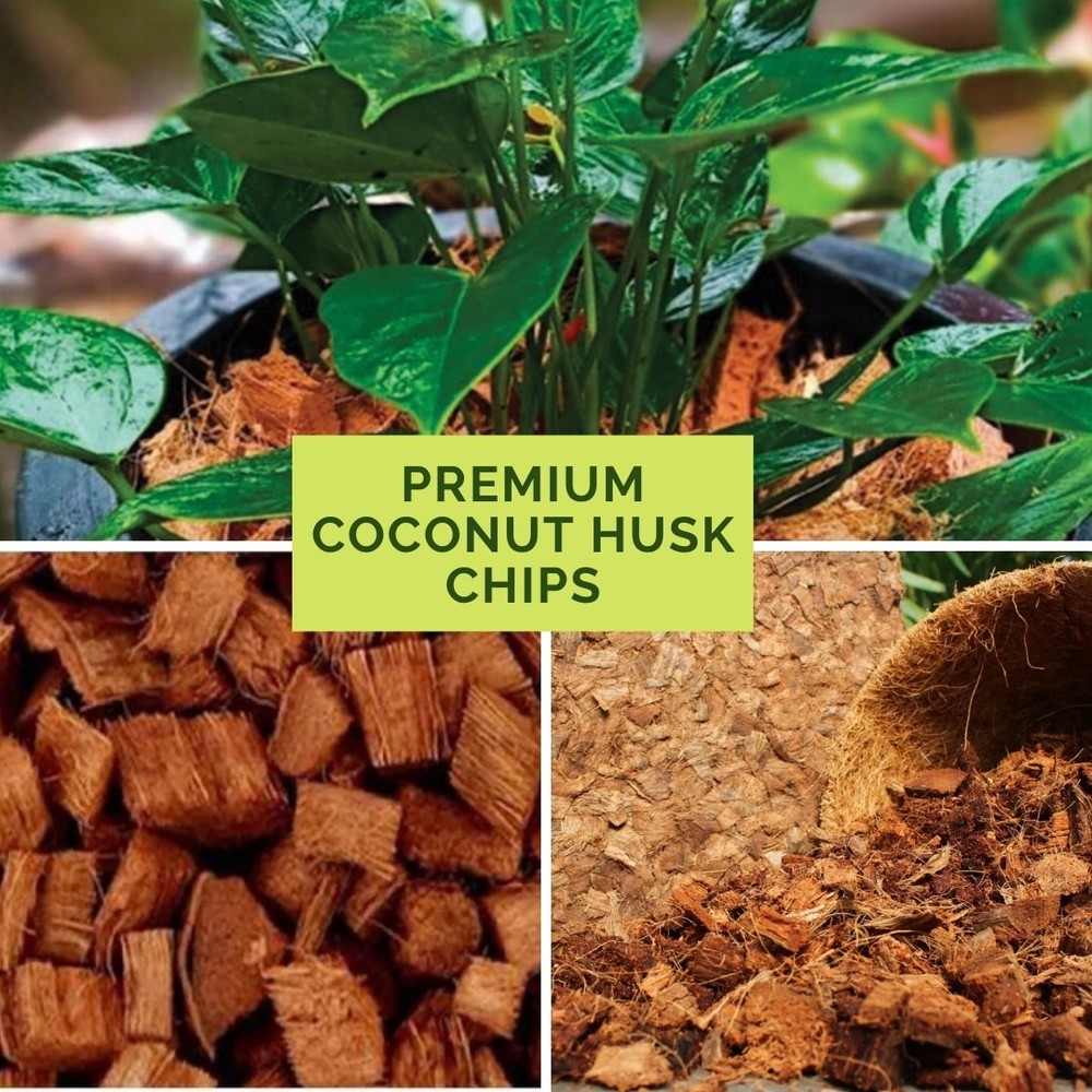 10LB CocoCoir Chunk - 100% Organic Compressed Blocks