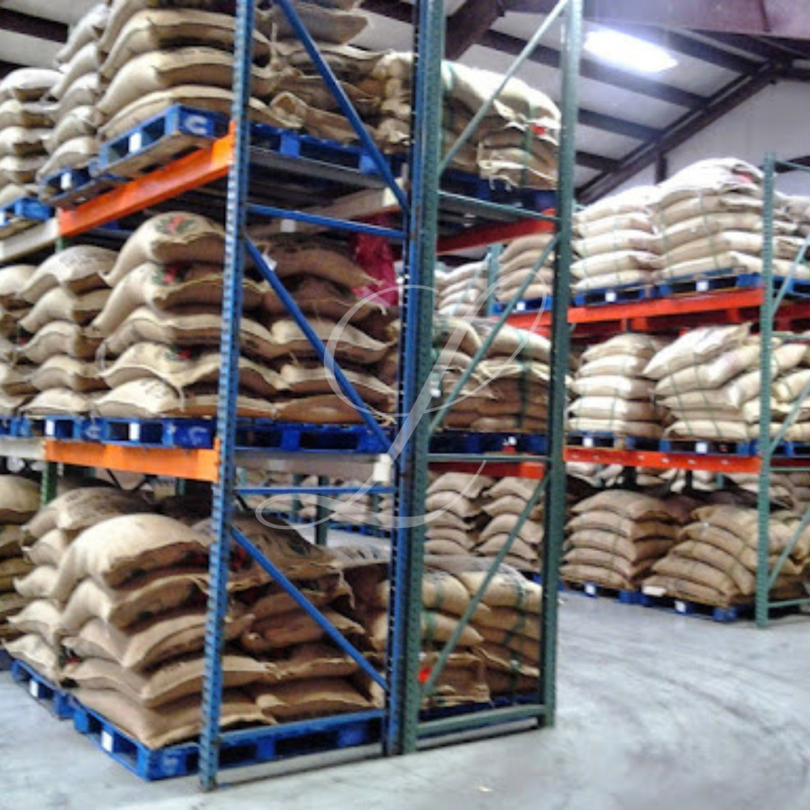 100% Kona Extra Fancy Coffee, 5 lbs, Green Beans or Medium Roasted to Order!