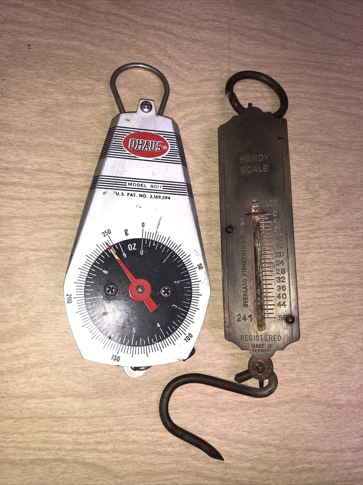 The Scale Handy Scale And OHAUS Spring Scale
