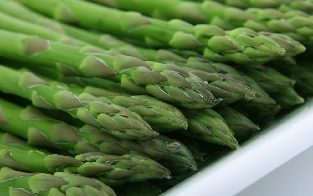 Twenty-five 2nd Year Asparagus Roots