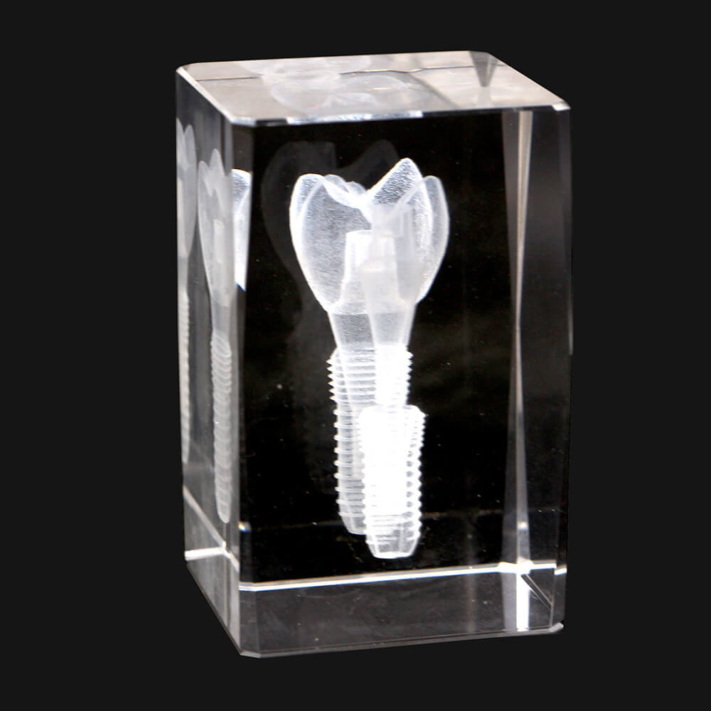 Dental Crystal molar implants plastic teeth model with rotary base