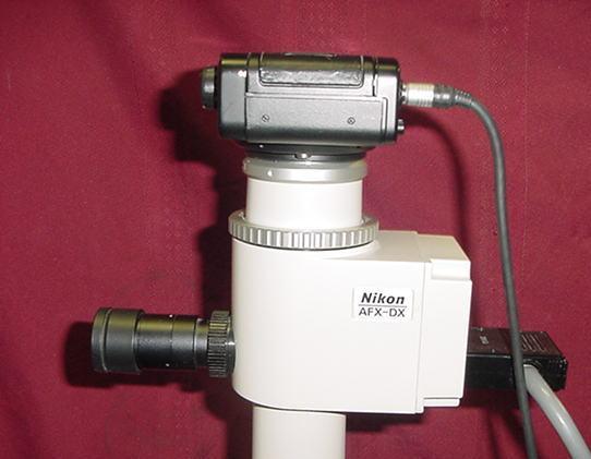 Nikon Labophot 2 Trinocular Microscope