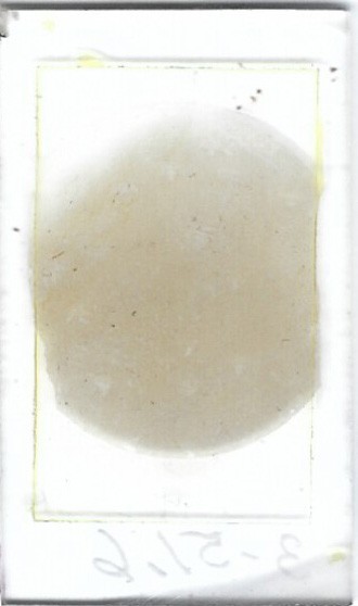 Thin-section Mount from IDHP UPH 2 Petrographic Microscope Slide 3-51.6