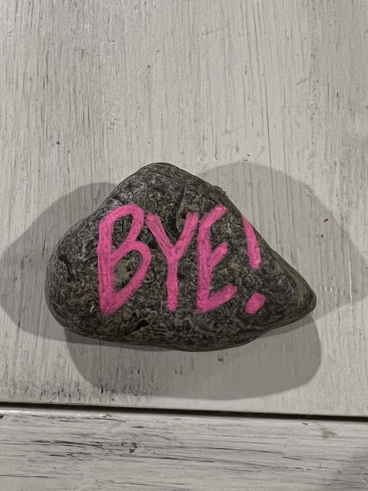 Hand painted Message Rocks