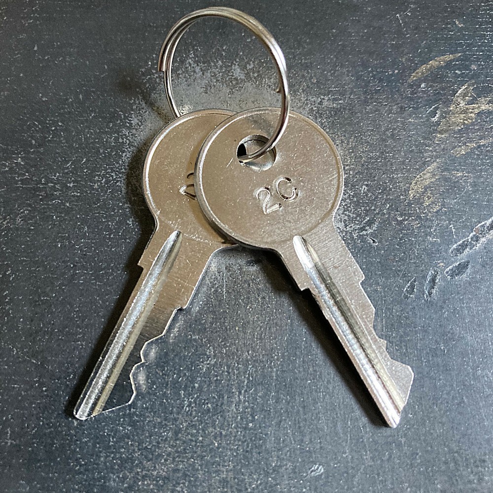 (2) Mercury Marine Boat Ignition Replacement Keys Cut Key Code 1A - 2F