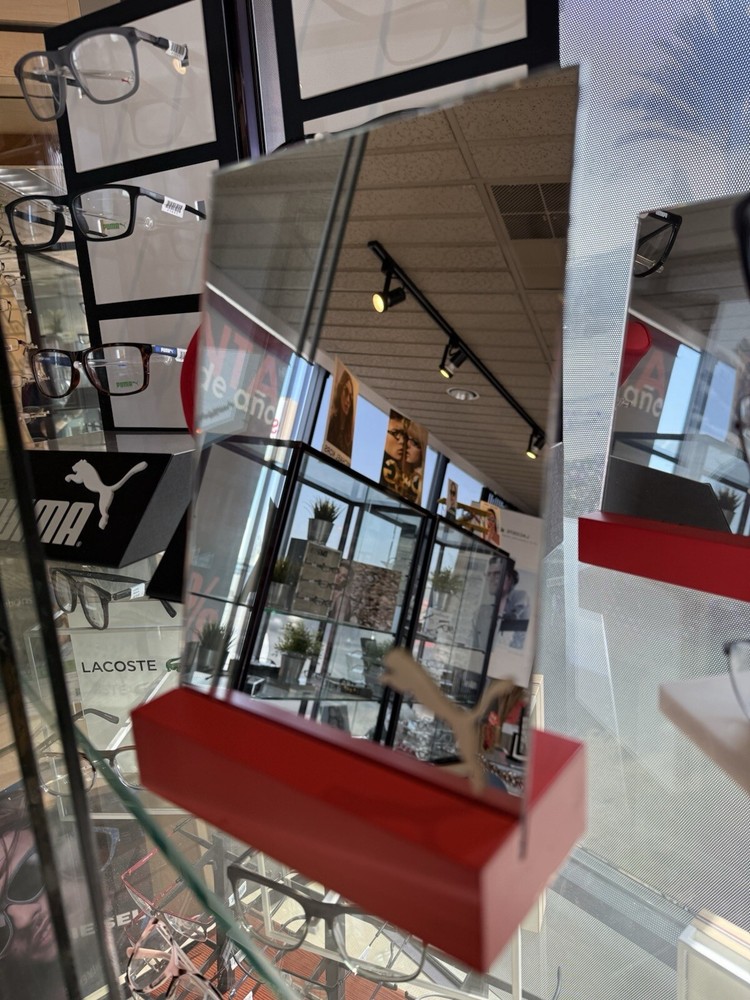 Puma Mirror