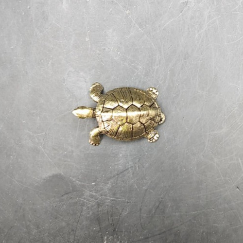 Miniature 1.5" Brass Box Turtle