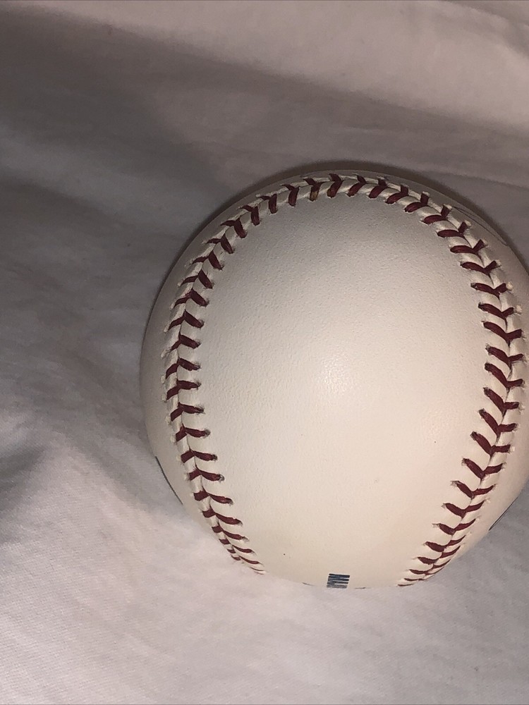 Ray Rippelmeyer signed autographed OMLB Selig baseball