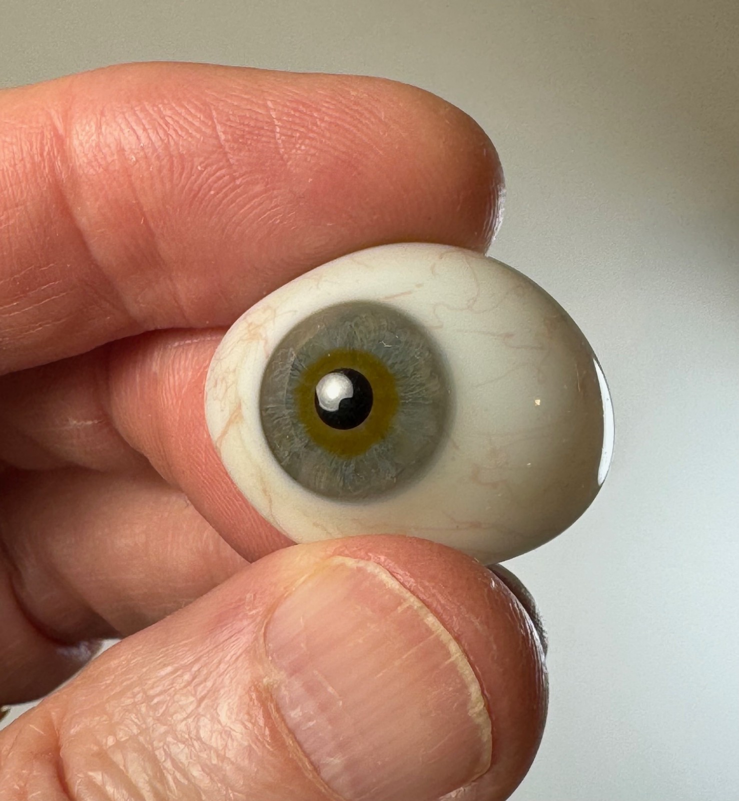 Antique German hand-blown human prosthetic glass eye.  Grey eye.