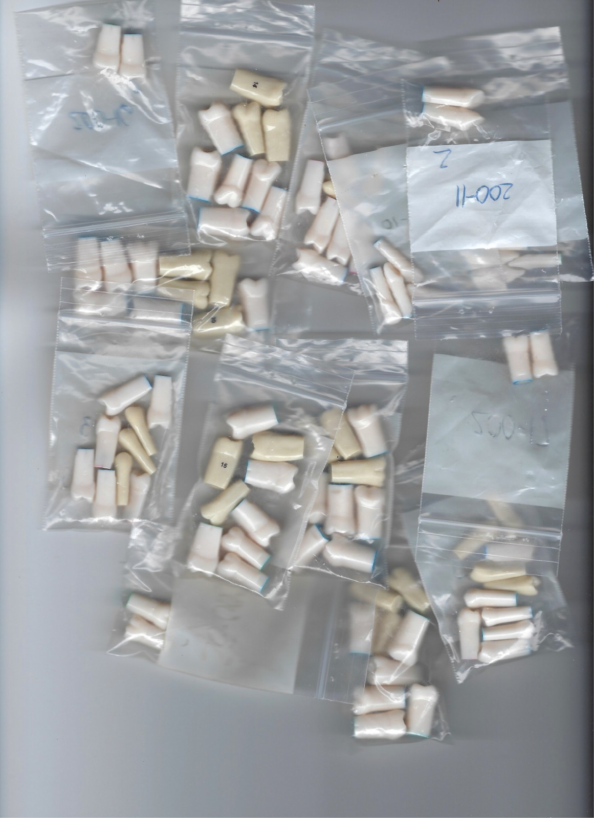 Nissin Kilgore 200 Series Typodont Replacement Teeth, #1-#32, 242 pcs