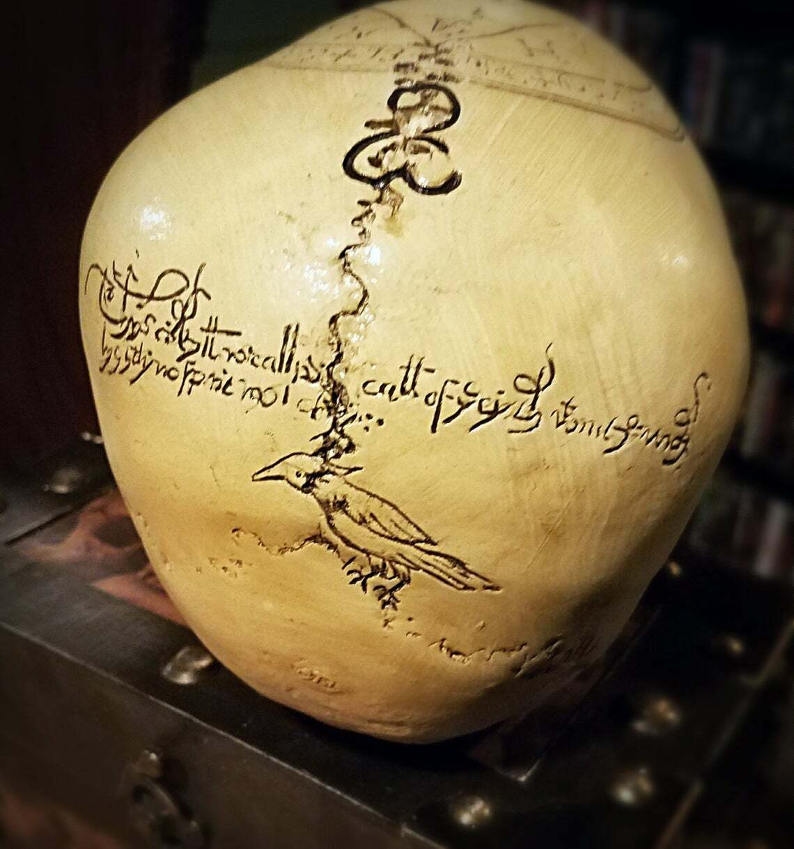 Alchemy Skull, Pentagram Skull, Real Human Skull Replica, Astrology Skull