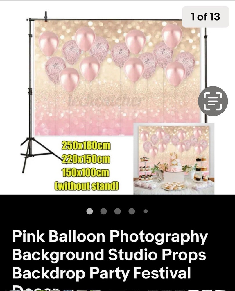 Pink Balloon Photography Backdrop