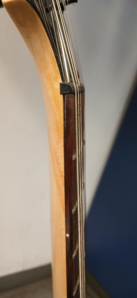 DEAN GUITARS VENDETTA (P06034009)