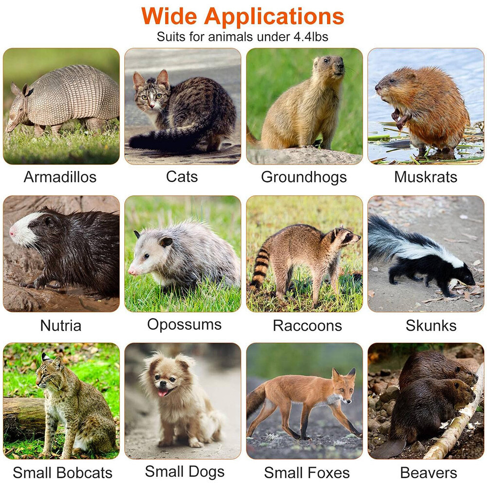 Live Animal Trap Extra Large Rodent Cage Garden Rabbit Raccoon Cat 24"X8"X 7.5"