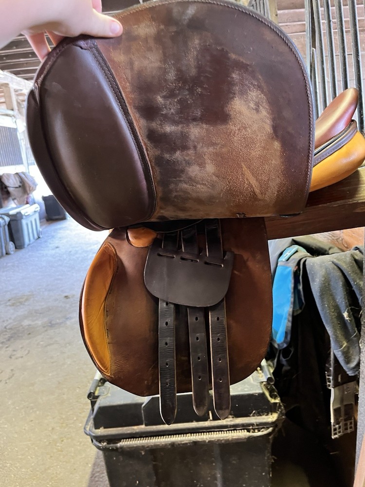 16.5 cambridge saddle medium gullet