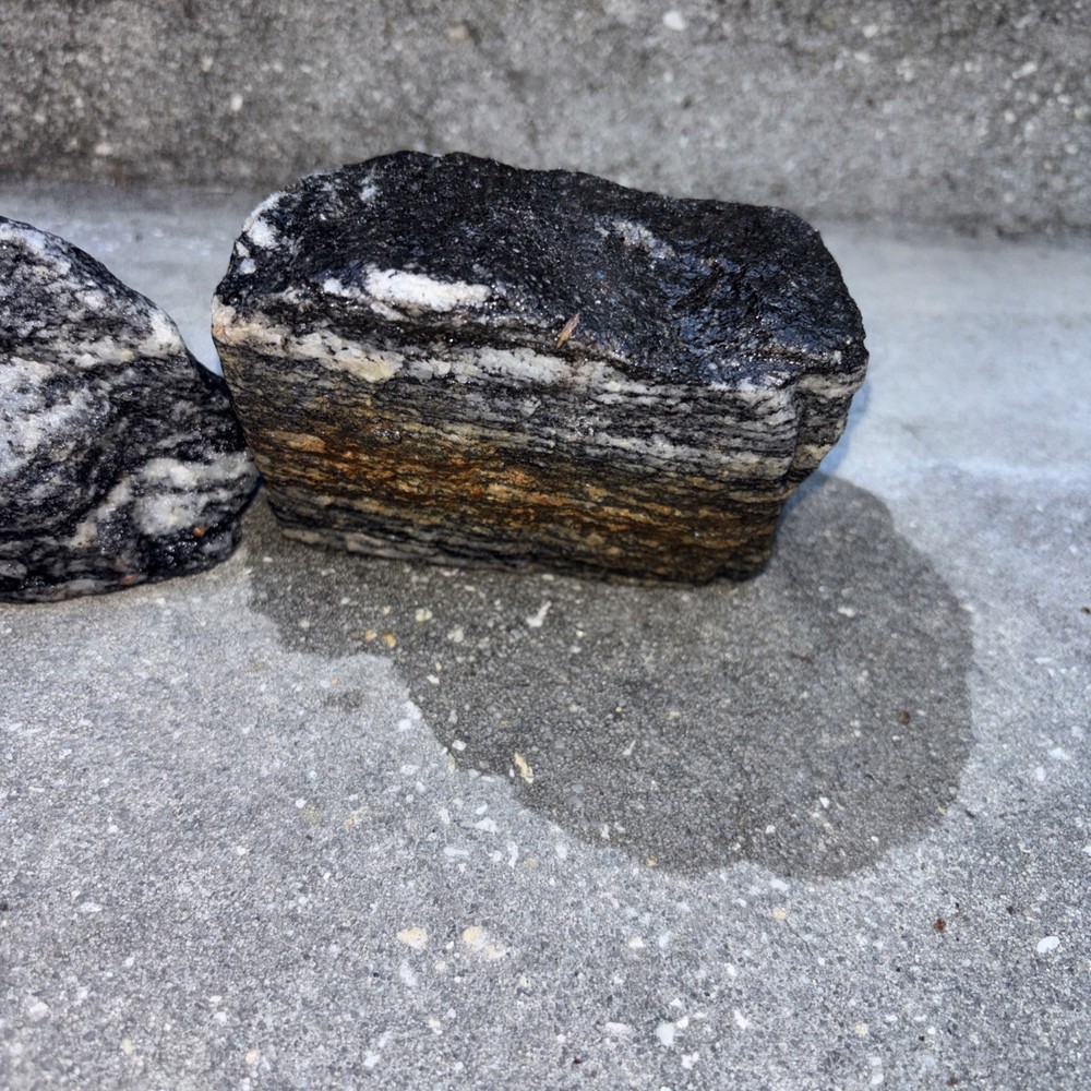 Gneiss Excellent Examples