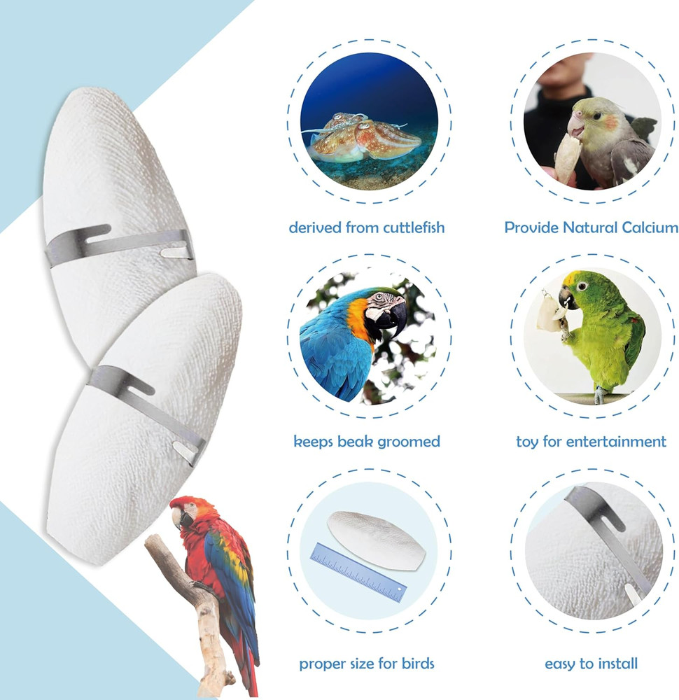 5"-5.5" Bird Cuttlebone for Parakeets, Cuddle Bone with Metal Holder, Cuttlefish