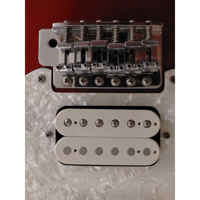 Fernandes Sustainer No.LG1347