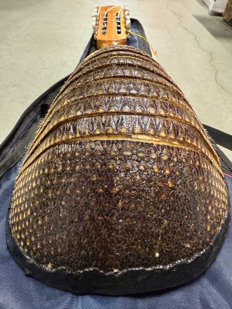 Charango Genuine Armadillo Armour Traditional Peruvian String Instrument