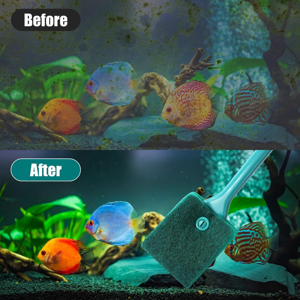 Fish Tank Cleaning Tools - Double-Sided Sponge Brush Algae Scraper