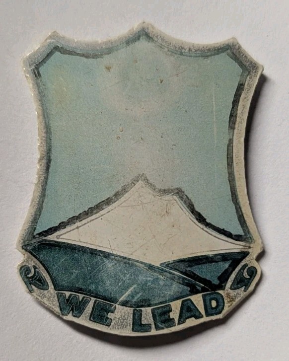 WW2 382nd Infantry Regt Plastic Unit Crest D.I.- 96 Div - Sew On Attachment