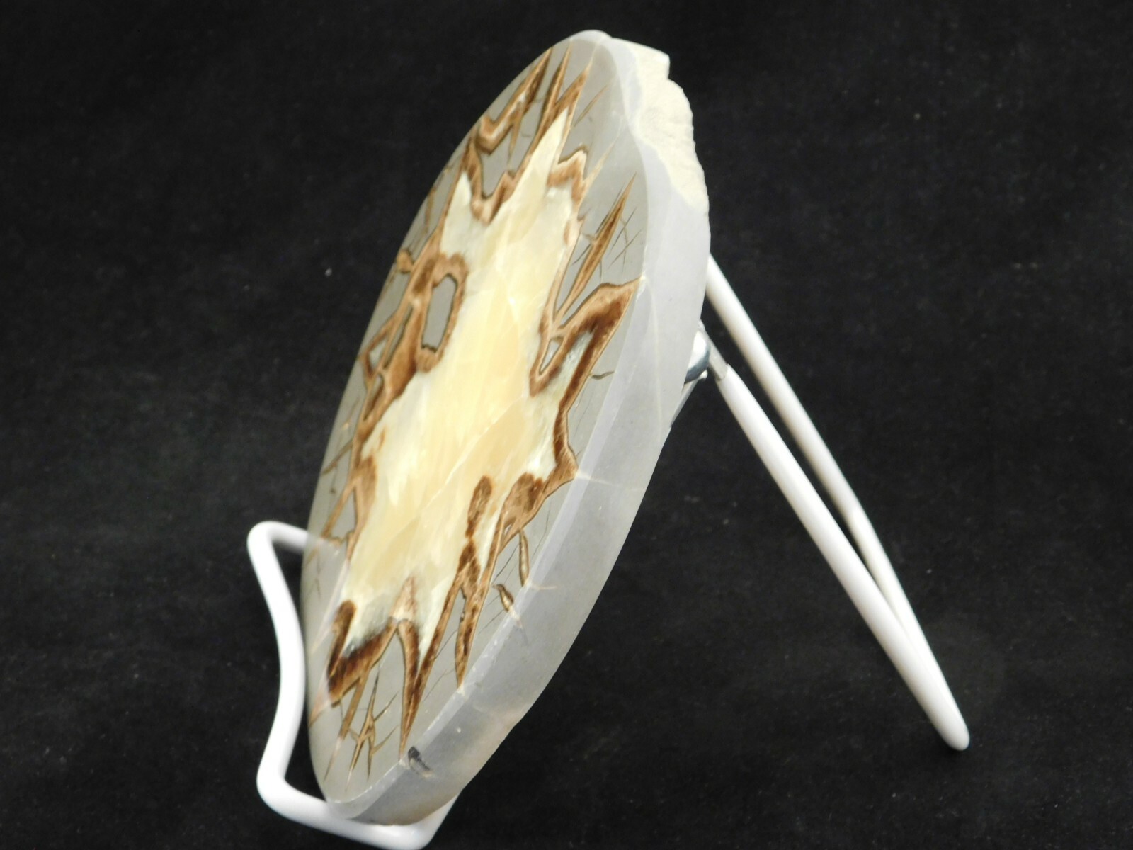 Easel Display Stand Adjustable White Vinyl Coated Medium Size