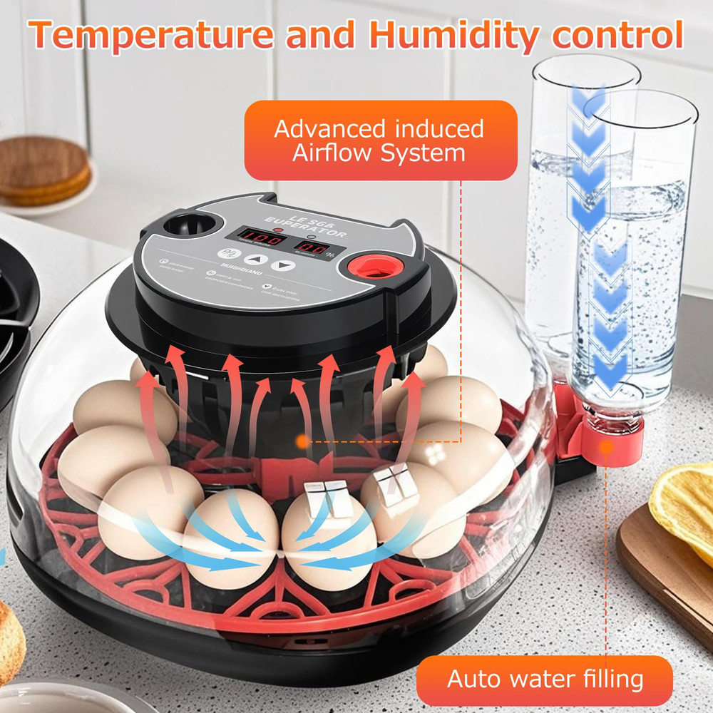 12 Egg Incubators for Hatching Eggs Automatic Egg Incubator with Temperature Con