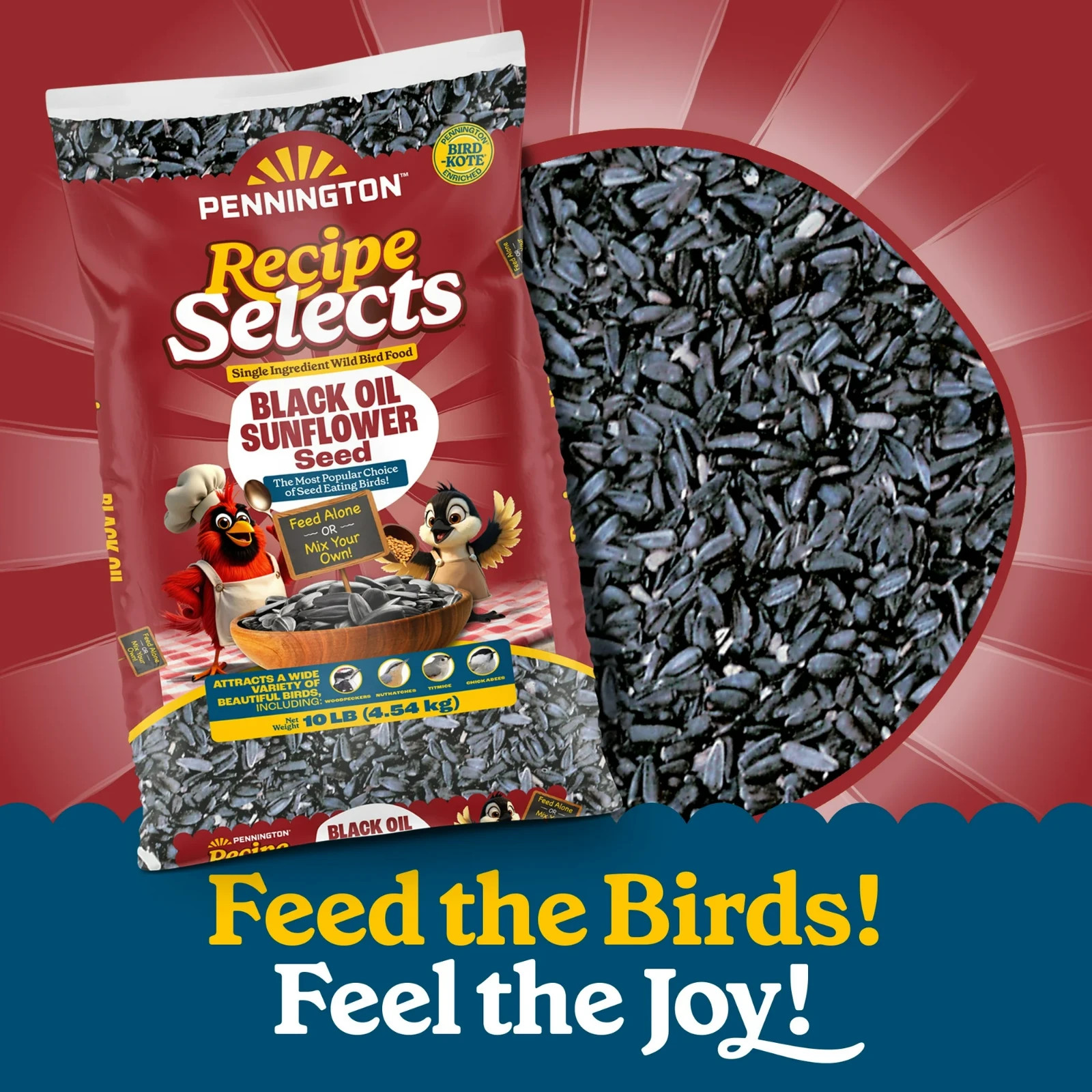 Pennington Select Black Oil Sunflower Seed Wild Bird Dry Feed, 10 lb. New Bag