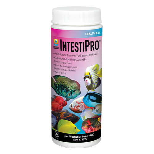 Hikari IntestiPro for Aquarium 3.5oz.