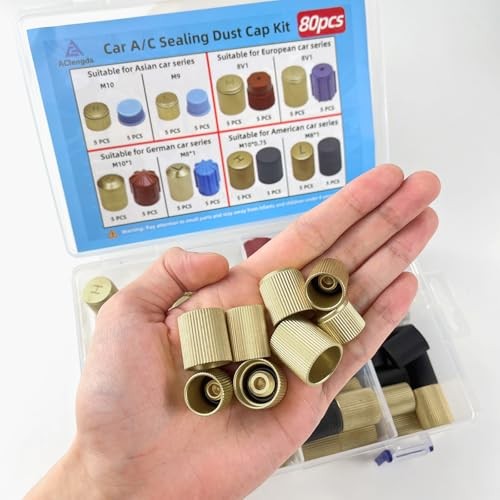 80pcs Car A/C System Valve Core Dust Cap Air Conditioning Service AC System