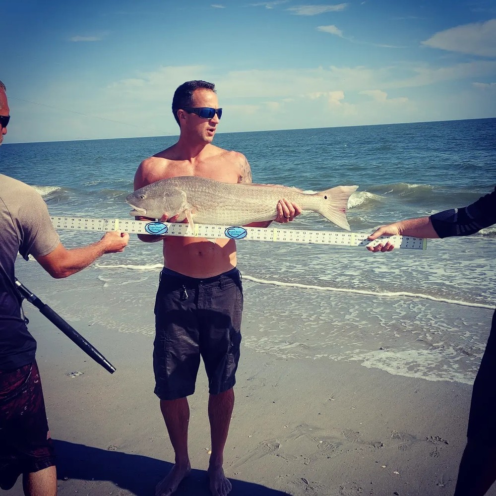 Shark Rig (The"Micah"Rig)