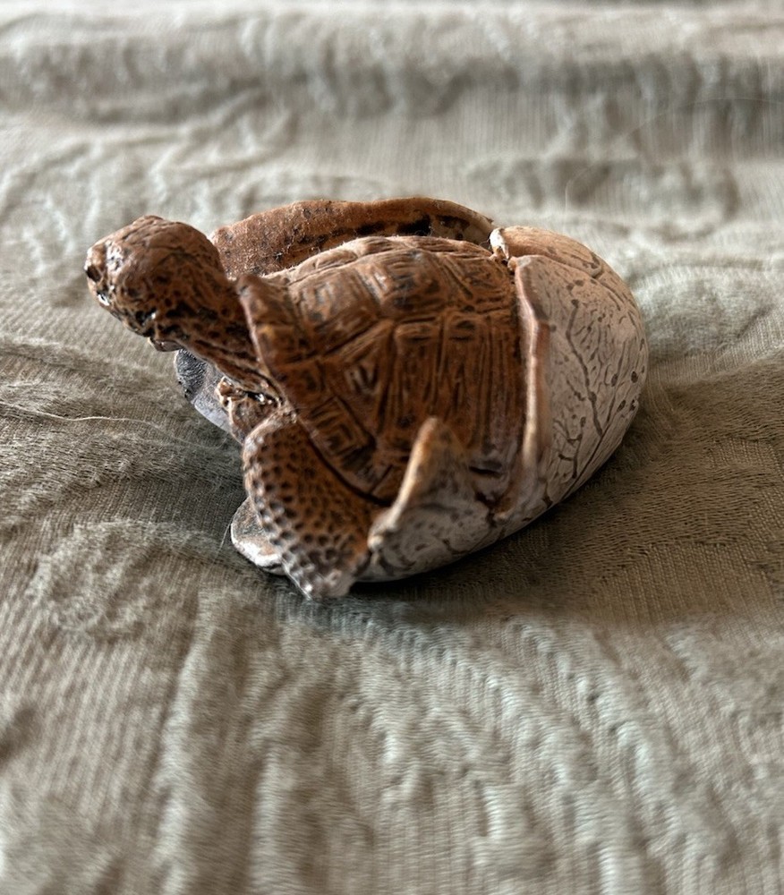 Baby Tortoise Emerging From Broken Shell Unusual Rubber Material 2”x1”