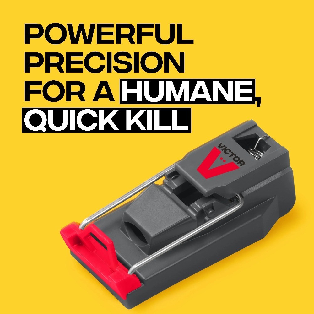 Quick-Kill Mouse Trap for Effective Rodent Control Easy to Set Reusable 2 Pack