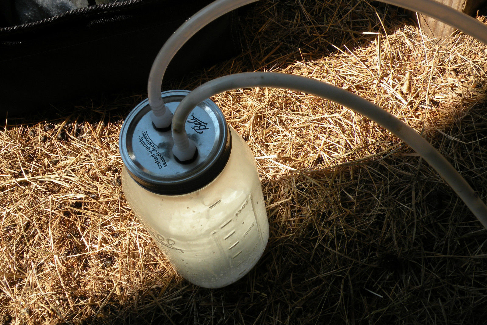 Goat-Sheep Milker Hand Vacuum Milking Machine 1/2 Gallon 2 Teat Dansha Farms™